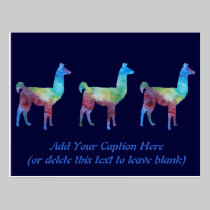 Rainbow Llamas postcards
