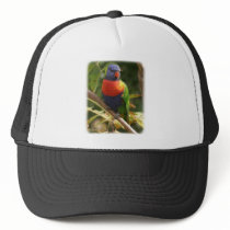 Rainbow Lorikeet 9Y209D-069 hats