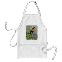 Rainbow Lorikeet 9Y209D-157 aprons
