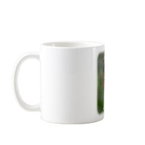Rainbow Lorikeet 9Y209D-177 Mug