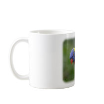 Rainbow Lorikeet 9Y209D-178 Coffee Mug