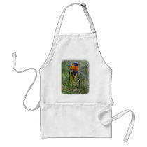 Rainbow Lorikeet 9Y209D-179 aprons