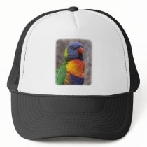Rainbow Lorikeet 9Y543D-021 hats