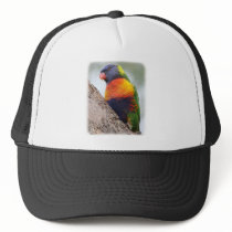 Rainbow Lorikeet 9Y543D-042 hats