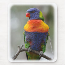Rainbow Lorikeet 9Y543D-050 mousepads