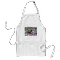 Rainbow Lorikeet aprons