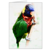 Rainbow Lorikeet Art Card