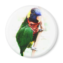 Rainbow Lorikeet Art Magnet
