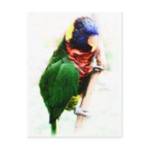 Rainbow Lorikeet Art Postcard