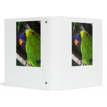 Rainbow Lorikeet Colourful parrot photograph Vinyl Binders
