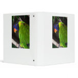 Rainbow Lorikeet Colourful parrot photograph Vinyl Binders