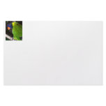 Rainbow Lorikeet Colourful parrot photograph Stationery