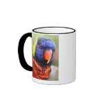 Rainbow Lorikeet Headshot Mug