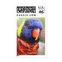 Rainbow Lorikeet Headshot Postage Stamps