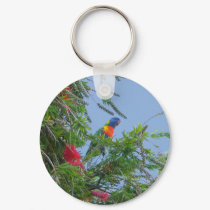 Rainbow Lorikeet keychains