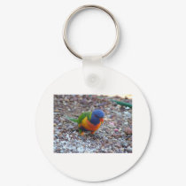 Rainbow Lorikeet keychains