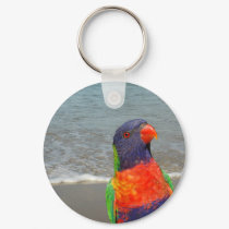 Rainbow Lorikeet ~ Keychain