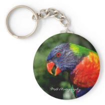 Rainbow Lorikeet Keychain