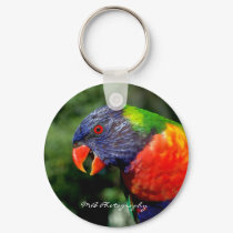 Rainbow Lorikeet Keychain by meganbreece Rainbow Lorikeet Keychain