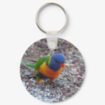 Rainbow Lorikeet keychains