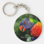 Rainbow Lorikeet Keychain
