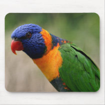 Rainbow Lorikeet mousepads by CathieT Rainbow Lorikeet mousepads