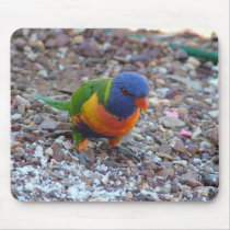 Rainbow Lorikeet mousepads
