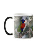 Rainbow Lorikeet Mug