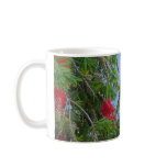 Rainbow Lorikeet mugs