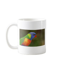 Rainbow Lorikeet Mugs