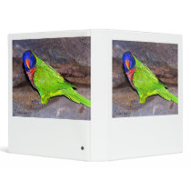 Rainbow Lorikeet parrot on rock wall, side view Binders