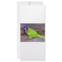 Rainbow Lorikeet parrot on rock wall, side view Rack Card Design