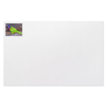 Rainbow Lorikeet parrot on rock wall, side view Stationery Design