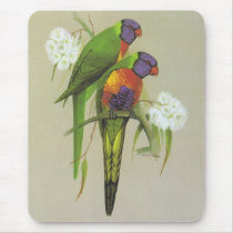 Rainbow Lorikeet - Trichoglossus haematodus mousepads