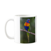 Rainbow Lorikeet Trichoglossus Haematodus Parrot Mugs