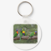 Rainbow Lorikeets 9Y543D-002 keychains