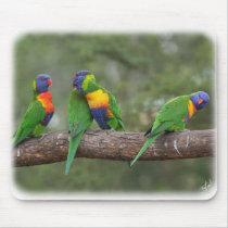 Rainbow Lorikeets 9Y543D-002 mousepads