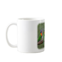 Rainbow Lorikeets 9Y543D-002 Mugs
