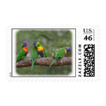 Rainbow Lorikeets 9Y543D-002 postage