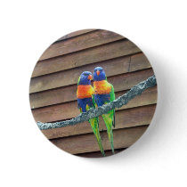 Rainbow Lorikeets Button