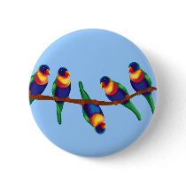 Rainbow lorikeets buttons