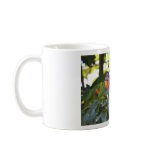 Rainbow Lorikeets Coffee Mug