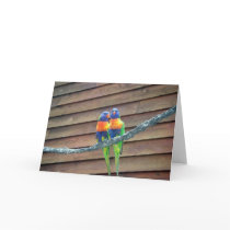 Rainbow Lorikeets Greeting Card