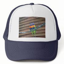 Rainbow Lorikeets Hat