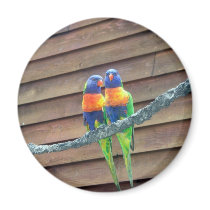 Rainbow Lorikeets Magnet