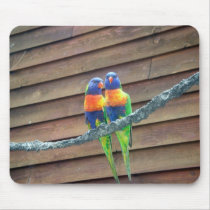Rainbow Lorikeets Mousepad