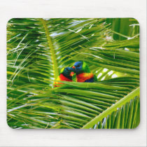 Rainbow Lorikeets mousepads