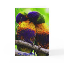 Rainbow Lorikeets, My Valentine Cards