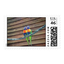 Rainbow Lorikeets Postage Stamp