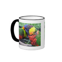 Rainbow Lorikeets Preening Mug